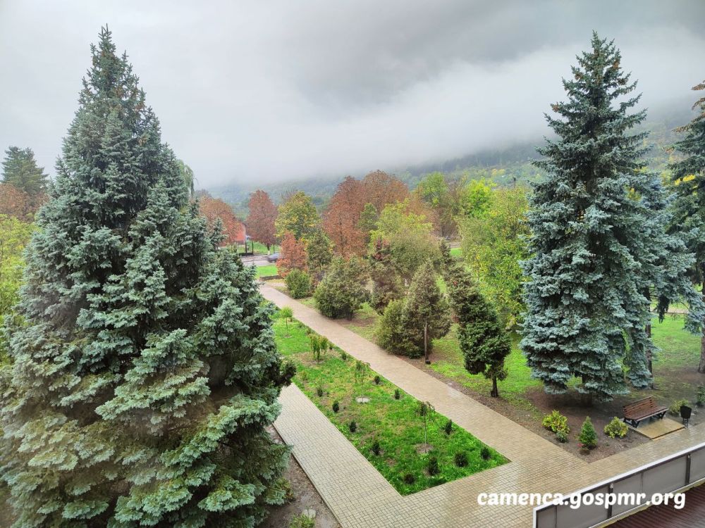 ����� ���� ����������� ���� � �������