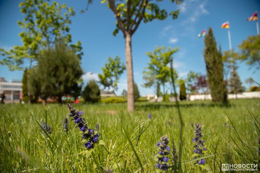 � ������������� ��������� ����� ����