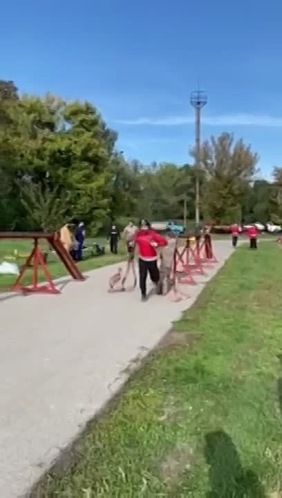 � ��������� �������-������������ ��������