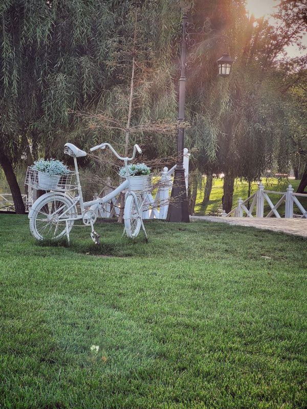 ����� ��������, � ������ ������