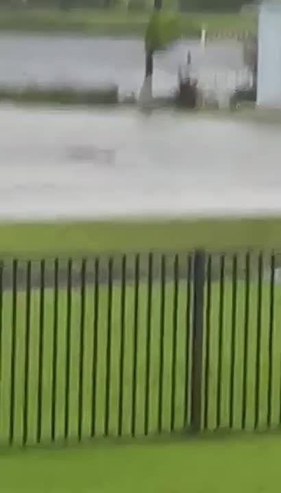 �������� ��������� � �������� ����������� ��������� �� ��������� ������������� ����� ������� ������� �����