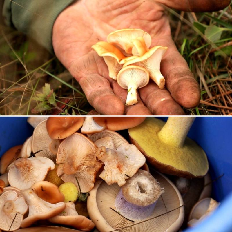 ������ ������� ��������� ���������, ���� ����� �� �������: