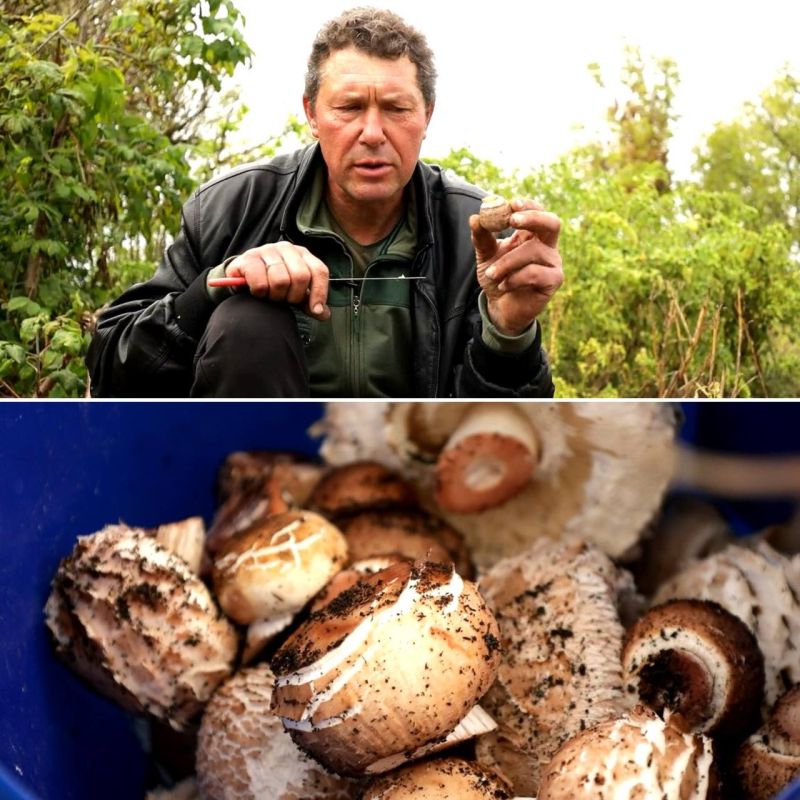 � ������������� ��������� ������� �����