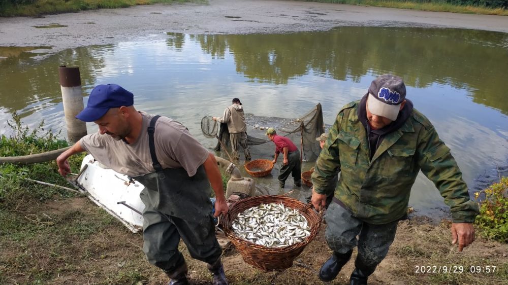 ������ �������� ����� ����������