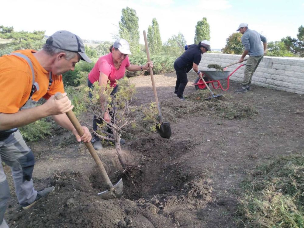 ����������� ���������� �����������