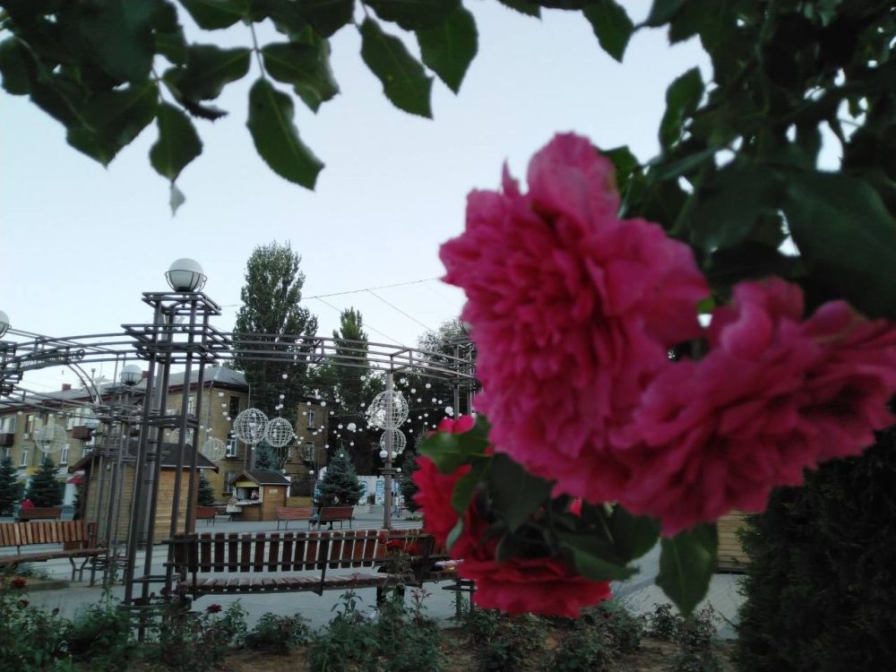 ���������� ����� �������