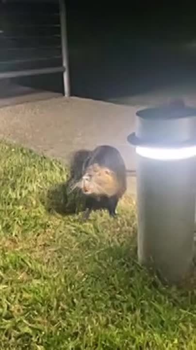 ��� ������� �������� � ������ ������, ������� ������� �� ������, ��� ������