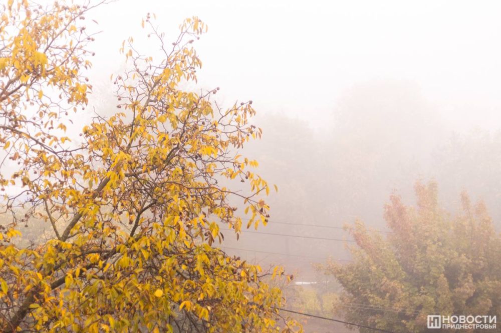 �������� ���� � ���������