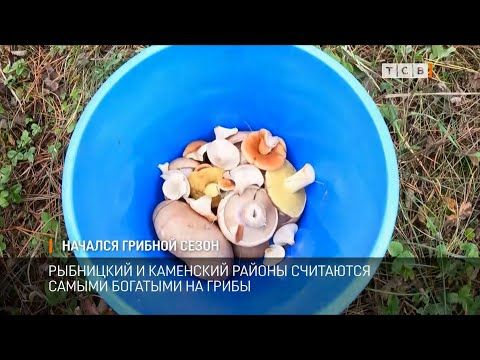 ������� ����� � ������������� � ����� �������