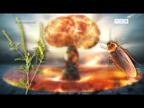 �������� ��. ������ ����� �������� ��� ������ �������� ������� ���������. �� �� ������, ��� �� ��������. � ������ ���...