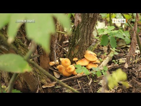 ����� �����. �� ������ ��� �� ����� ������� ��� ��������. ��� �����, �������, �������� ���������. ������, �����. ���� �����...