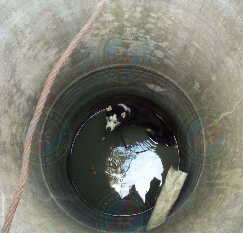 ��������� �������� ������ �� �������