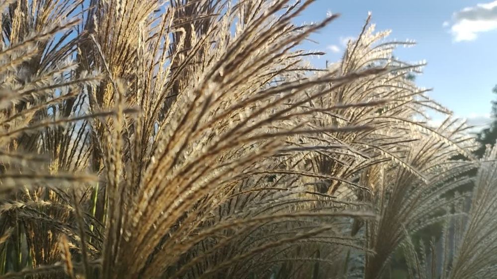 ��� �������. ������ ������� � ������. ���������� ������, �� ����� ���������!