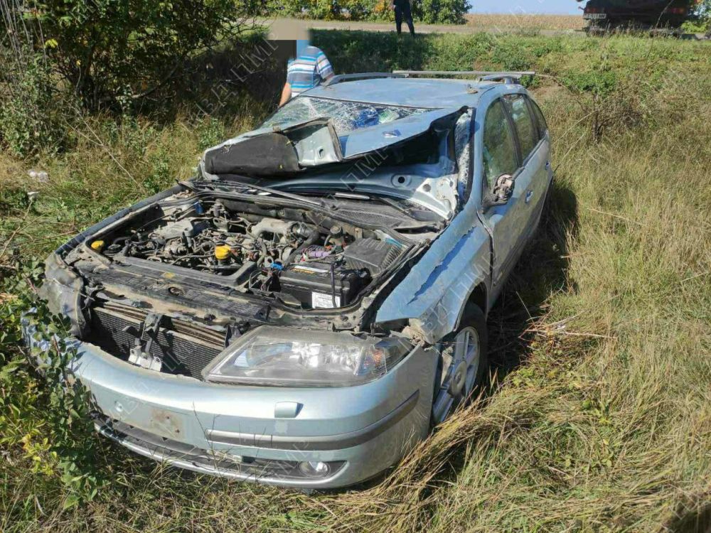 ������ � ������ ���������� �����: ���� ������������