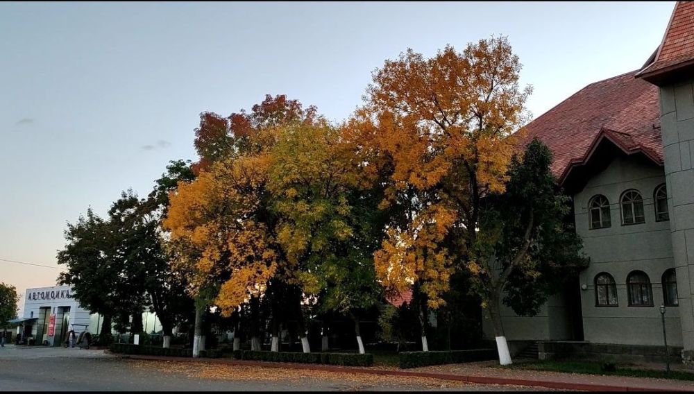 �������� ������ �� �������� �������� � � "�������"