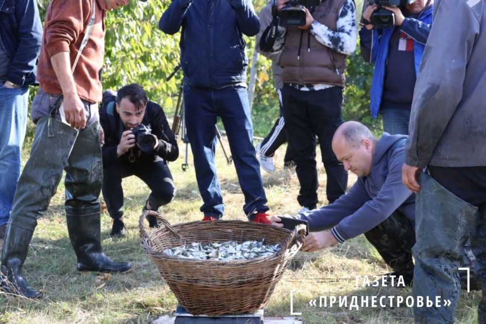 ������������ ��������� ��������� � ��������� �������� ���������� ���������� �������