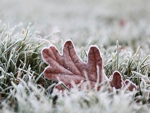 ��������: ���������!. 5 � 6 ������� �� ���������� � ������ � �������� ���� ������� ��������� ��������� �� ����� �� -2�C