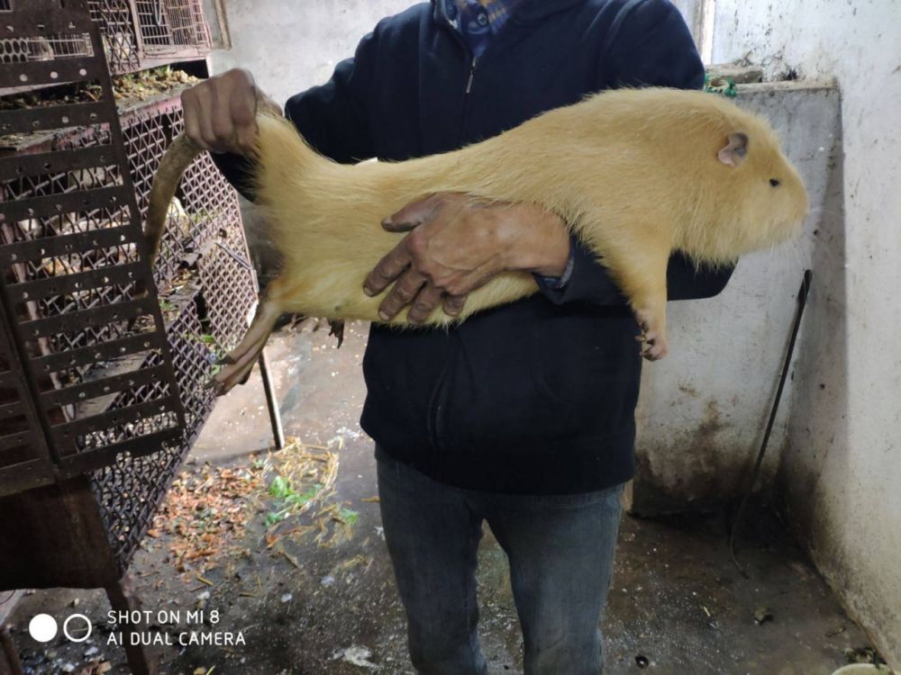 ���������� ���������� ������ ��������� ����� � �������������� ����� �������� � ������