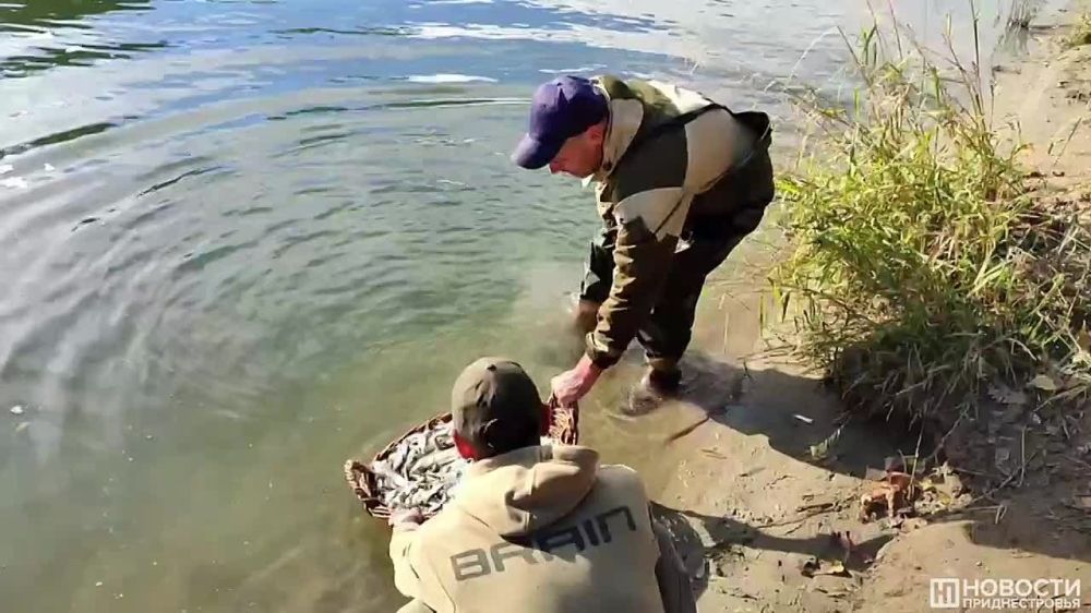 17 ���� ���������� �������� � ������ ������������� � �������