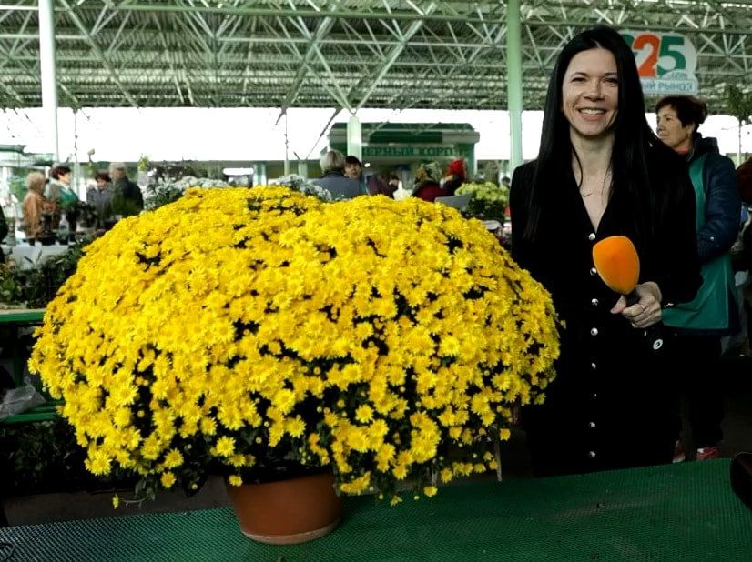 �� ����� ����� ������� ���� ���������