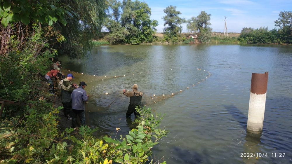 � ������� �������� � ������ �������� �������� 1610 �� ���������� ����