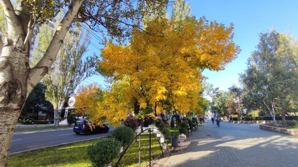 Ƹ���� ����������. ���������� ���������� �� ������ ������ � ��������� ���������� ���������