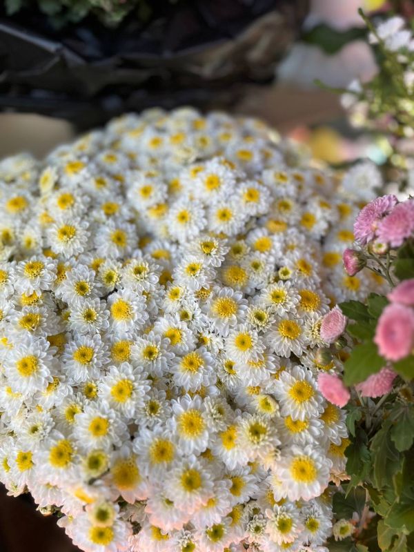 ��� � ��������� ����� ����� ������������� ����� ������� � ������ ������������