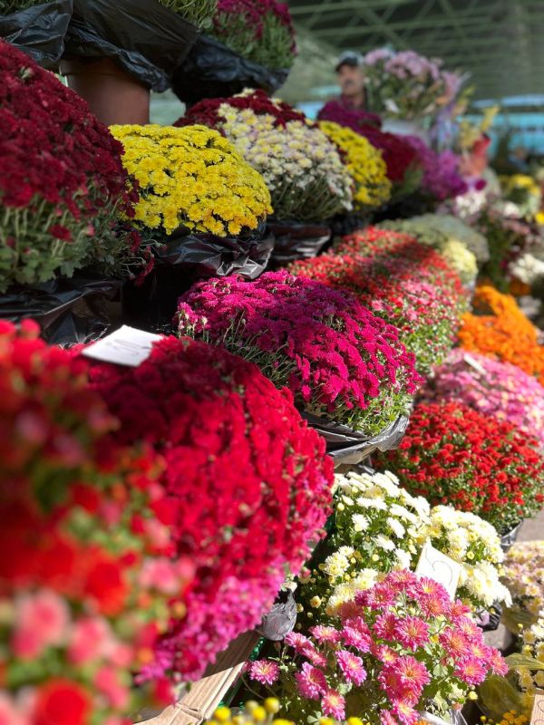 �� ������ ����� ������� ����� ��������� � �������