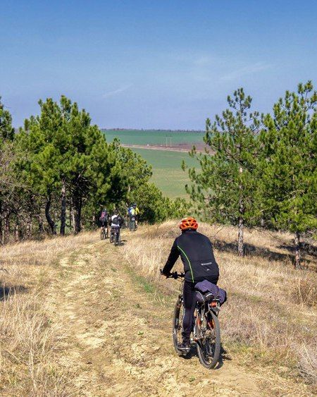 ����� �����������. ����������� � ����������� �� ����������� � �������� ��� ���������� ��-����� "�������������-������"