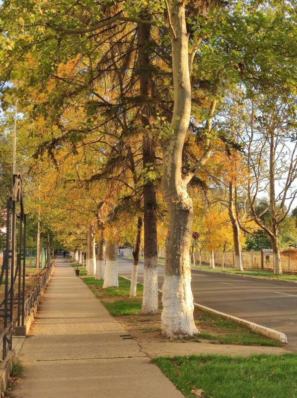 ������� ����� ��������. ���� ������� � ������� �����������������