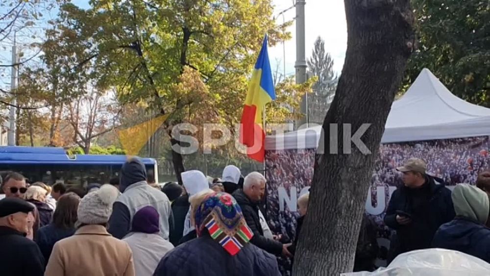 ������� ���� � �������� � � ���������� �������� �������� �������� ������