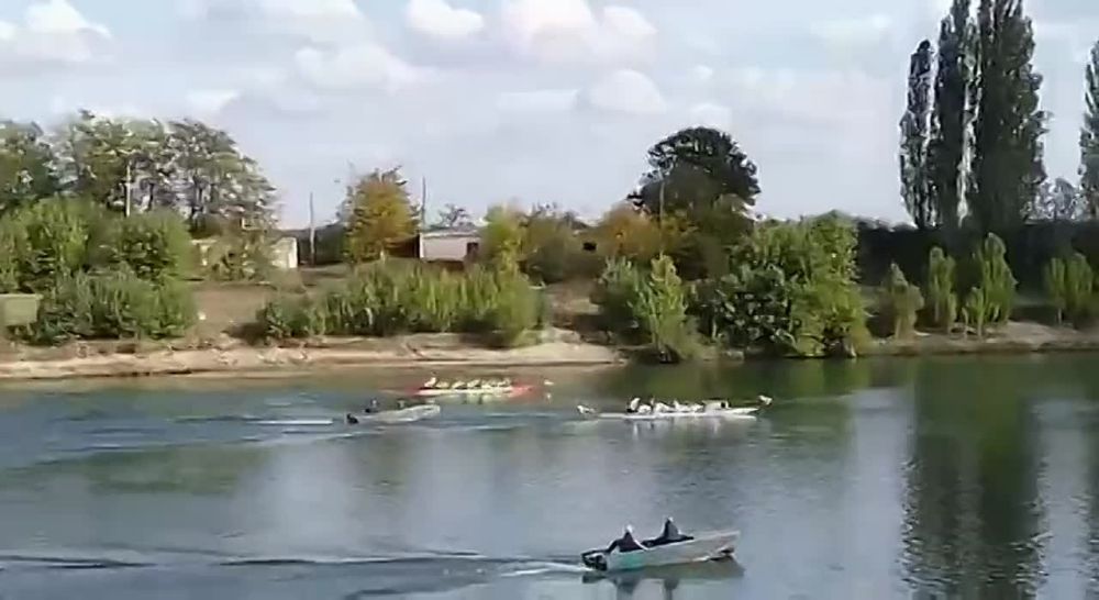 ��������� ������ ������ ������������� ���������� � "����� �������" �������� ������ - ������� "������������������"