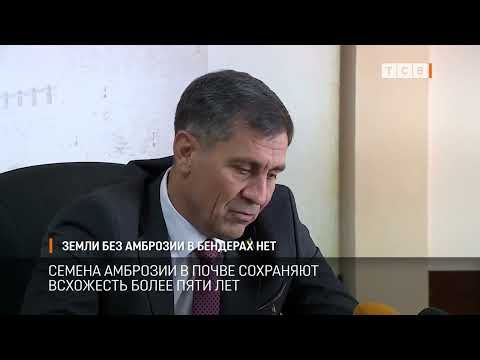 � �������� ��-�������� ��� ����� ����� ����� �����, ��������� �������� ��������. ����� ������ �� �����-����������� �������: ����� ��� ������ � ������� �������������� ���� �� �����, ������� ������ ��� ��������