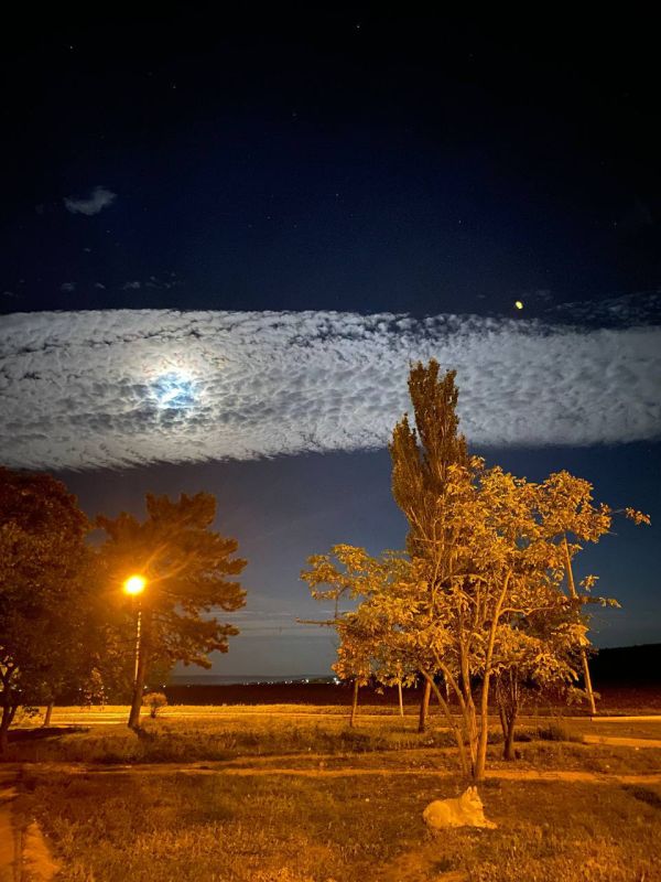 ����� ������� ����. �������-��������� ����� �������� ������