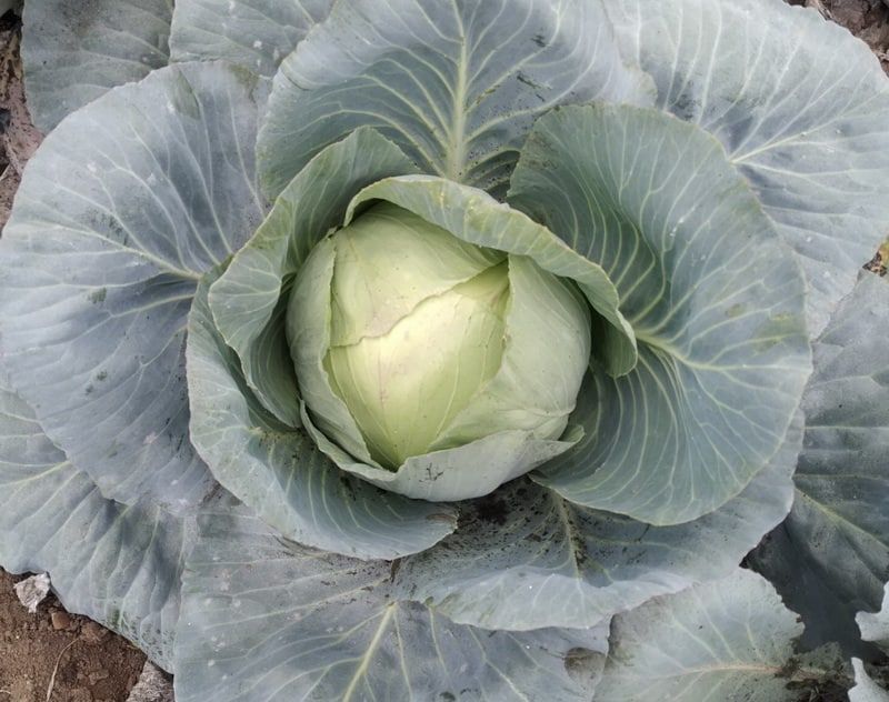 ��������� �������� � ������