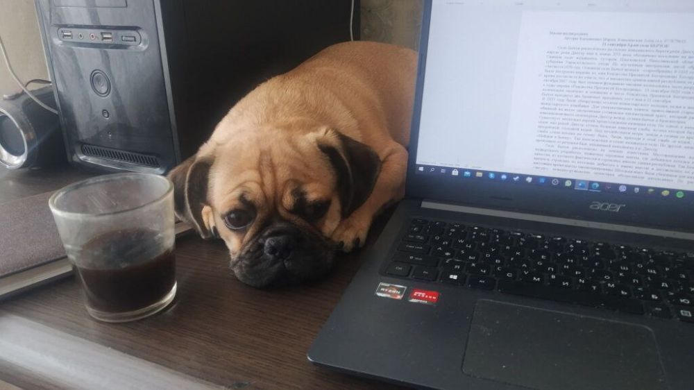 "������, ������! ��� ��������� ��� ��� � ������ ��� ���. ���� � ����� ��������� ��� ����� ���������� ����������