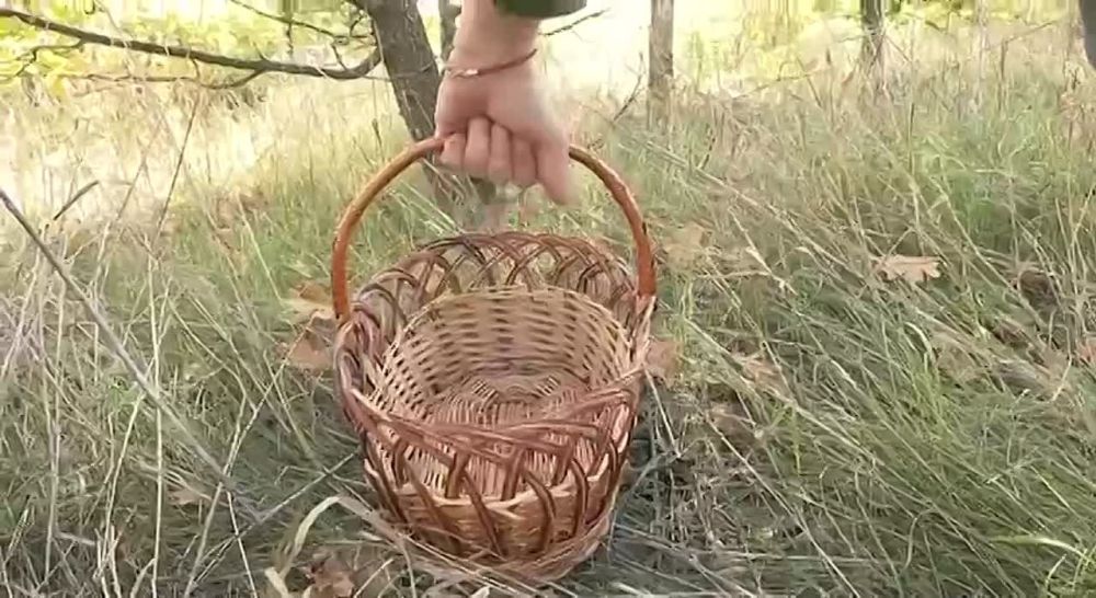 ������������� ��������� �������� � �������� ������ �����