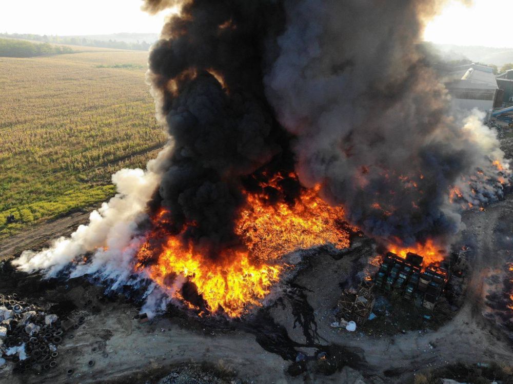 � �������� ��������� ������� ����� �� ������ ����������� �������