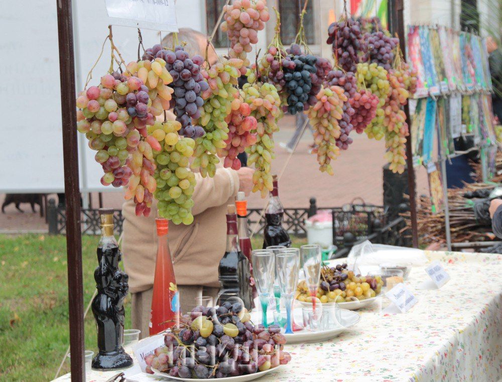 ��������� ���� � ��������� ��������� � ��������� 15 �������