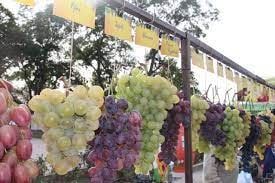 ������ �������� ��������� ���� � ���������