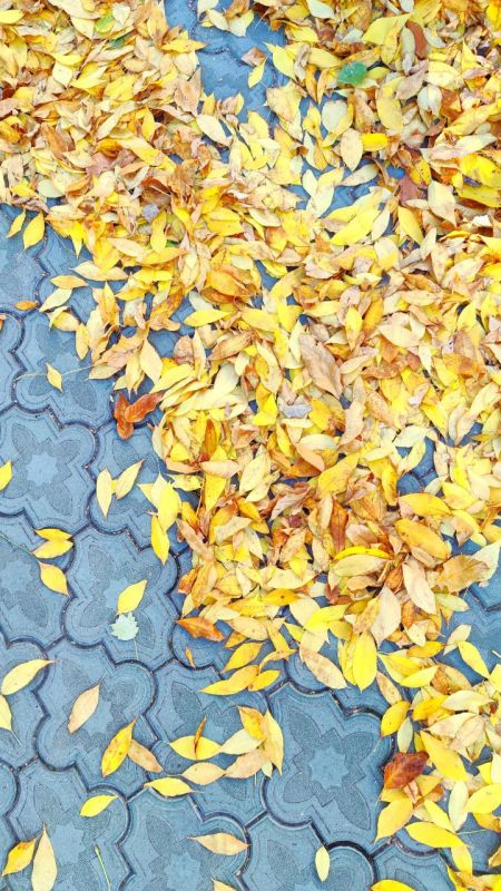 �������� ��������� �� ������ ����������