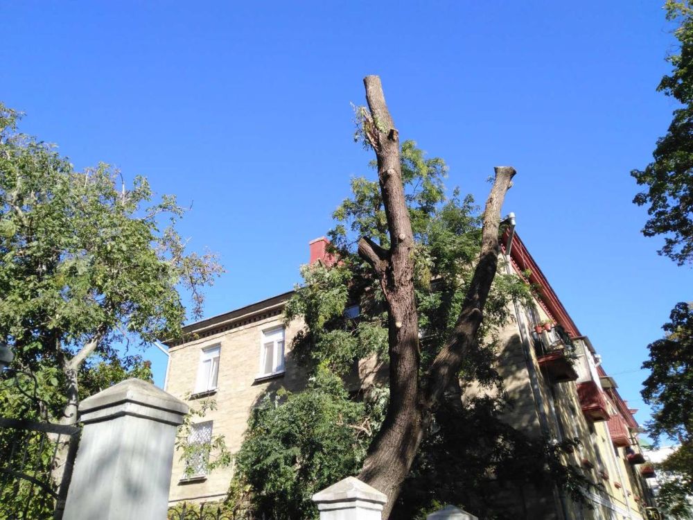 �� ����� ���� �� ����� ���������� ������� ����� ������ ������