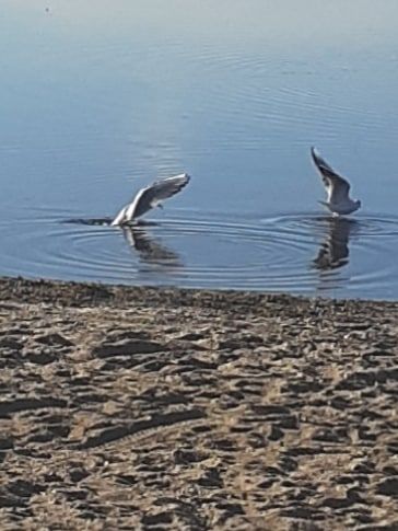 ����� �� ������������ �������������