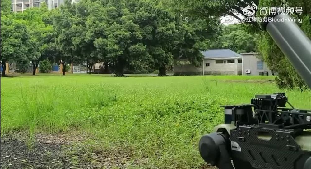 ������� ����������� ���� ����� ���������� � �����������, ������� ������ � ����������� ��������� �������-�������