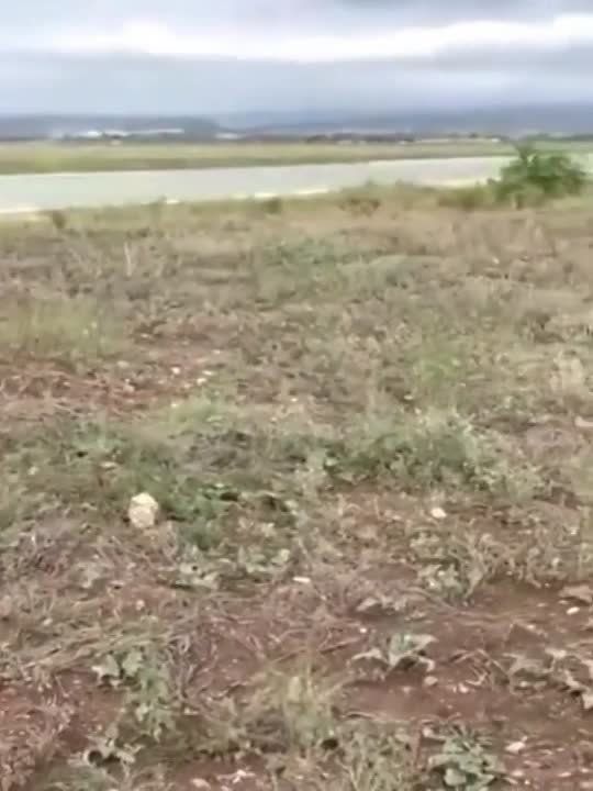 ������, ��� ����� �� ������ ���������