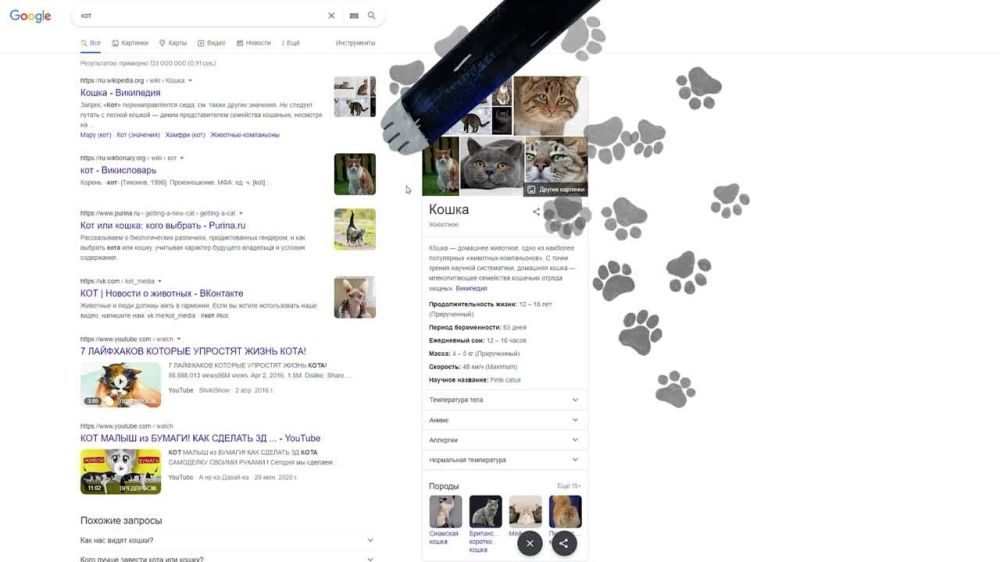 ���� ������������ ������ �����