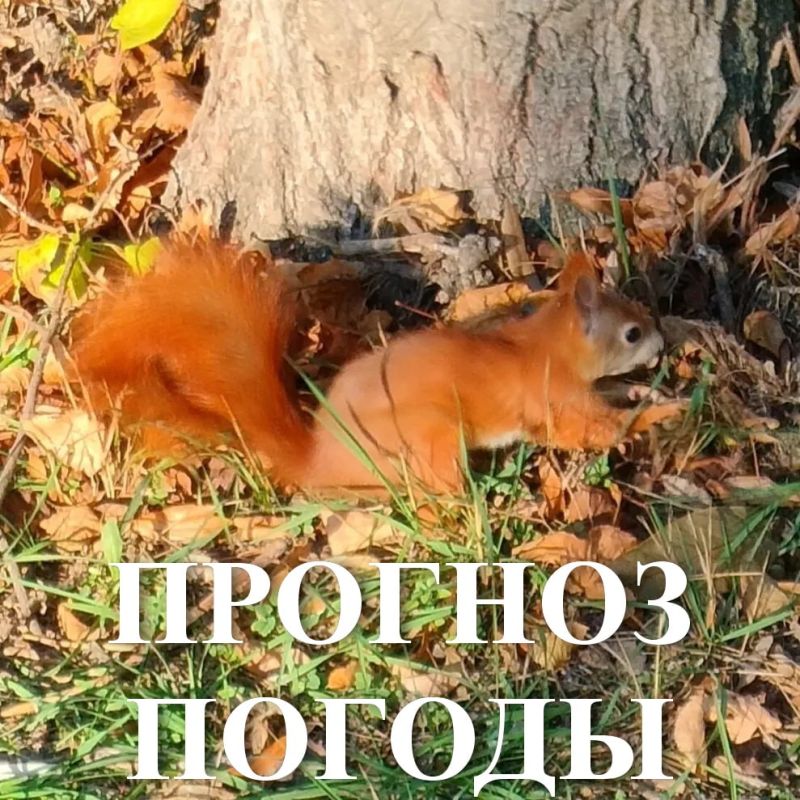 ������� ������ �� ���������������� ��������������