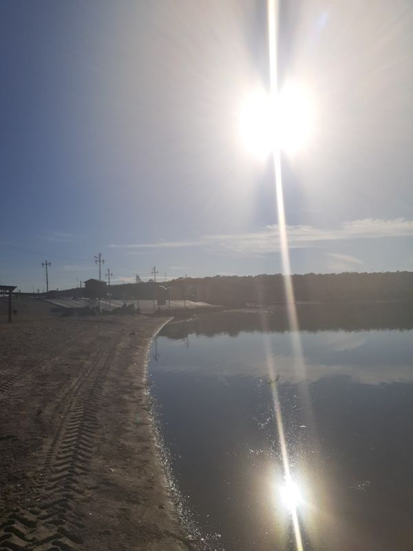 ���������. ������� ������ � �������� ����