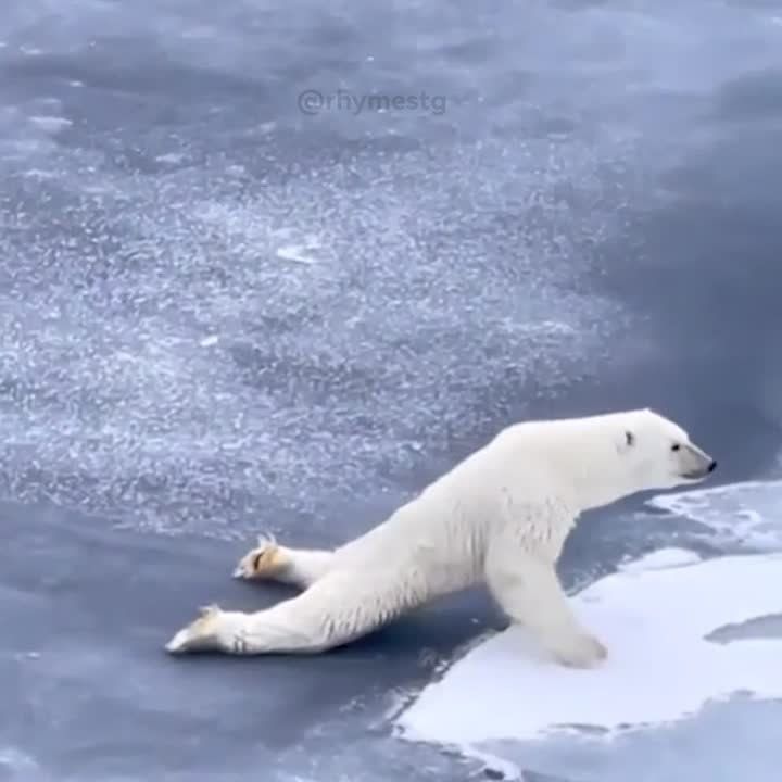 ����� ������� ����������, ��� ��������� ������ �� ������� ����