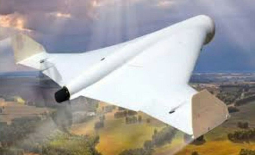 ��� ������� ����� �����-����� � ��������� ������� �������� �������� ����������� ���-29 ��� �������